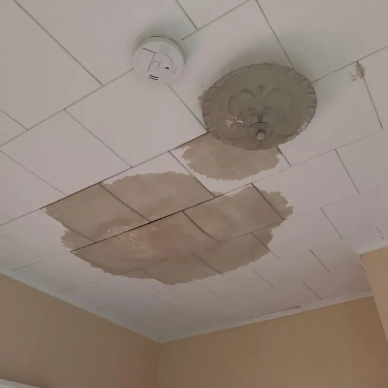 Ceiling Water Damage Repair in Newton, MS