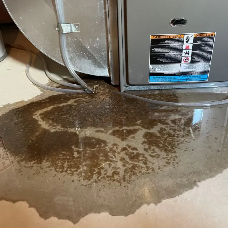 Pipe Burst and Leak Restoration in Newton, MS