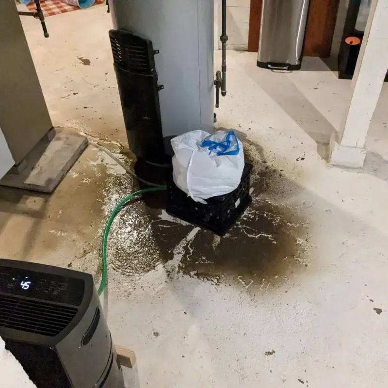 Sewage Backup Cleanup Service in Newton, MS